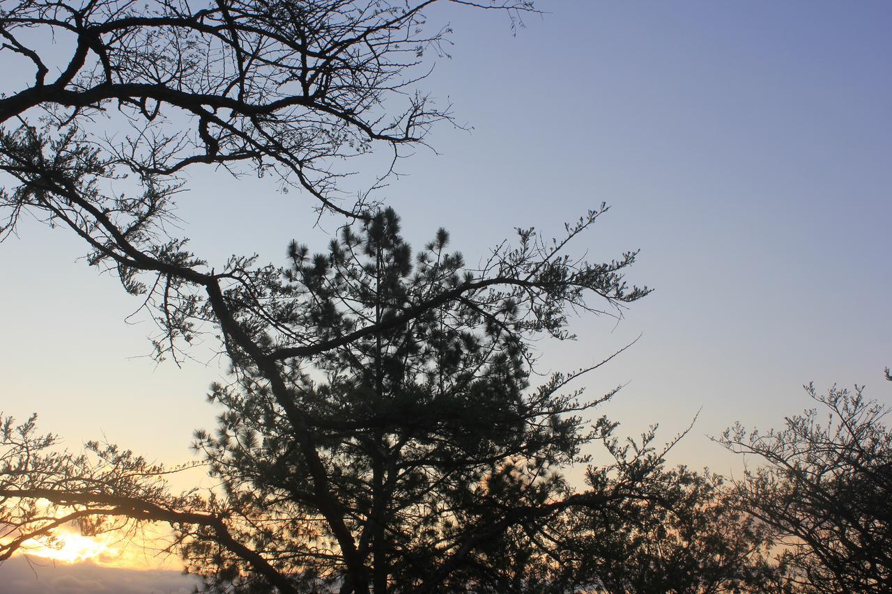 Acacia Bush Lodge Pietermaritzburg Esterno foto