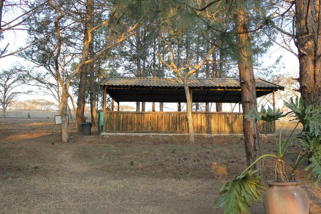 Acacia Bush Lodge Pietermaritzburg Esterno foto
