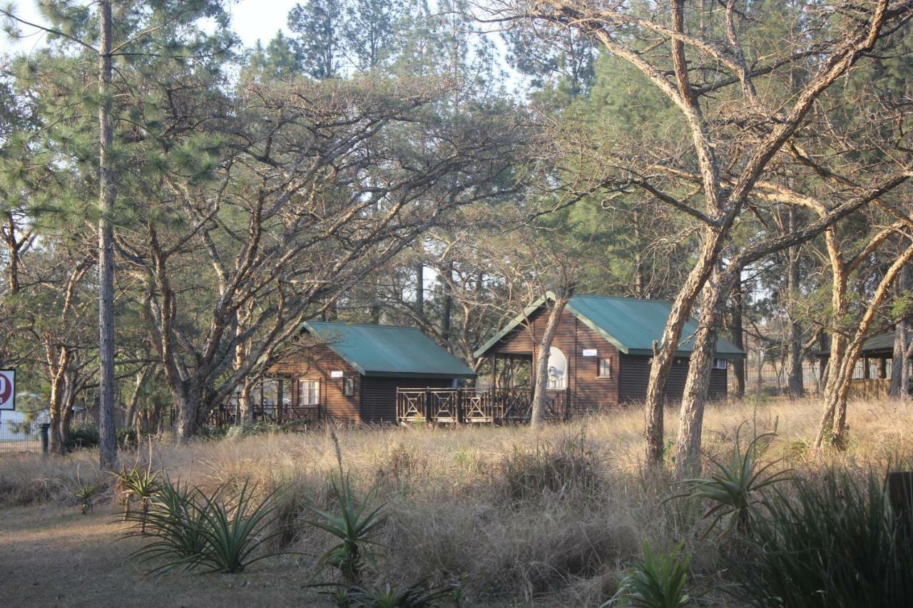 Acacia Bush Lodge Pietermaritzburg Esterno foto